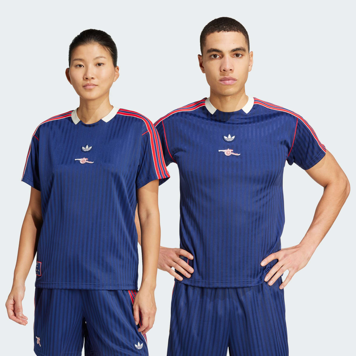プレミア優勝 ArsenalTerraceIconsJersey L Архівне джерсі Arsenal Terrace Icons (унісекс) Performance JF0546