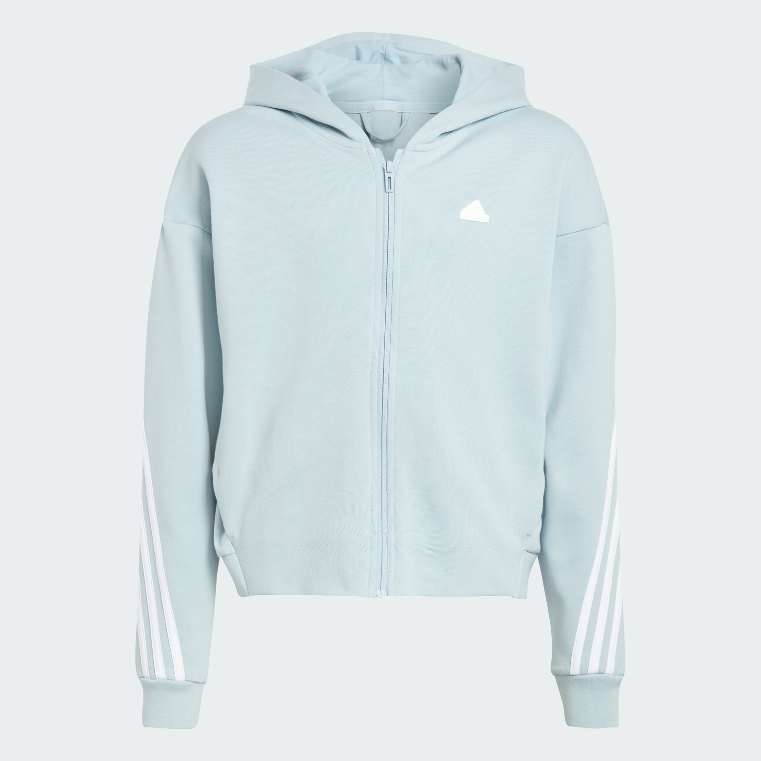 Худи Future Icons 3-Stripes Full-Zip Sportswear IM0085 1