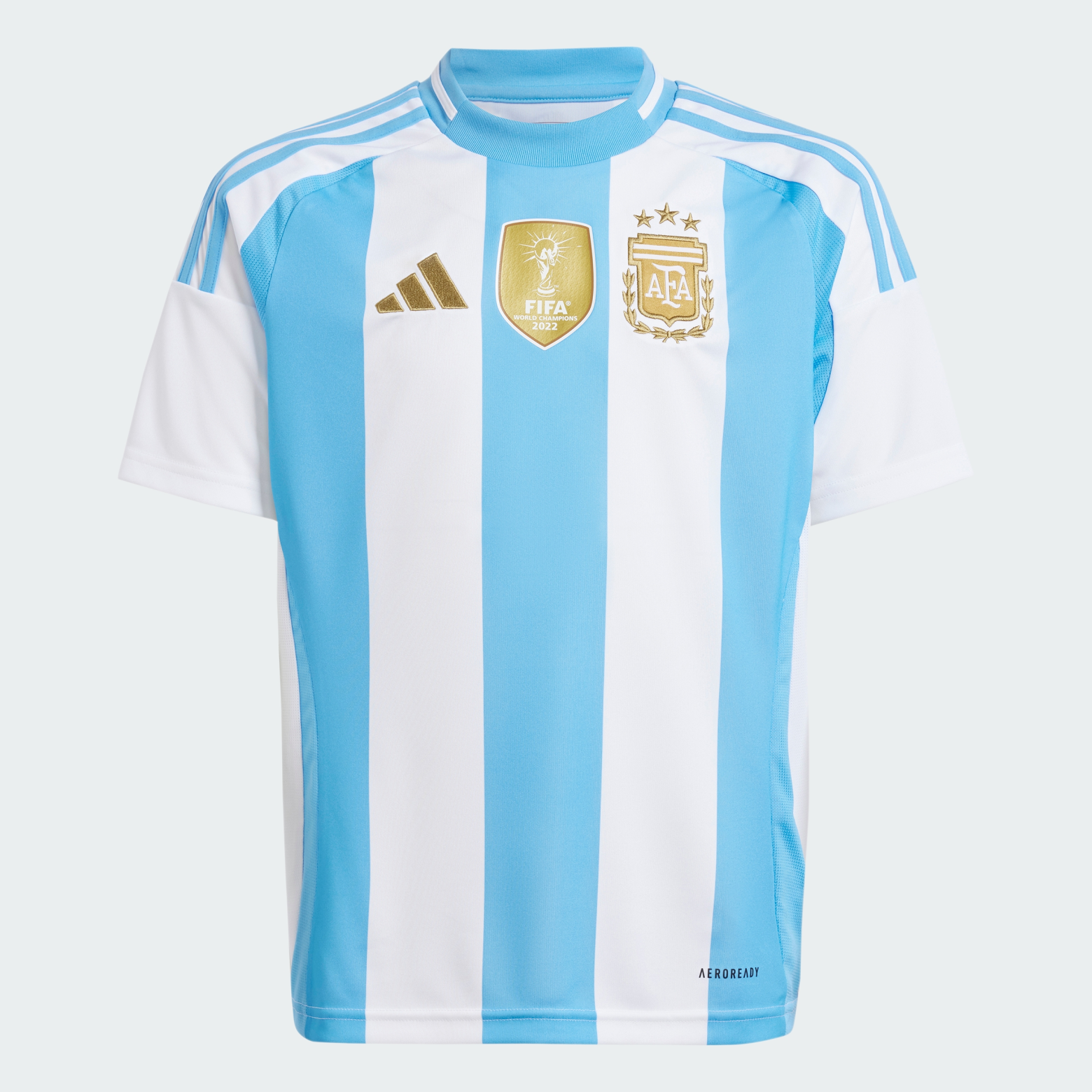 Джерси Argentina 24 Home Performance IP8387 1