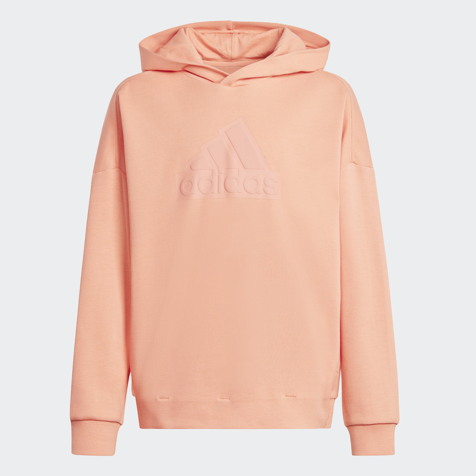 Future Icons Logo худи Sportswear HR6302 1