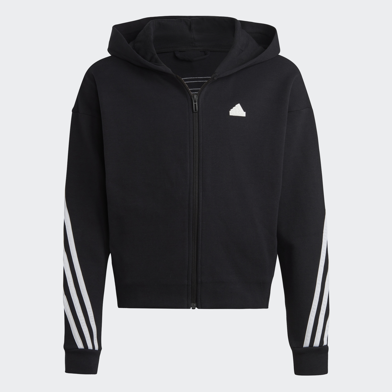 Худи Future Icons 3-Stripes Full-Zip Sportswear IC0118 1