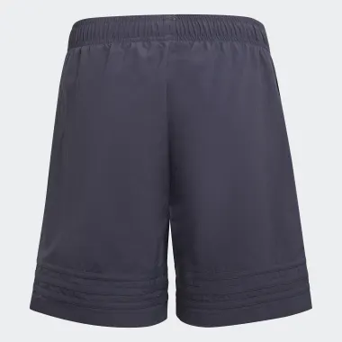 Lifestyle: спортивные шорты Originals 121