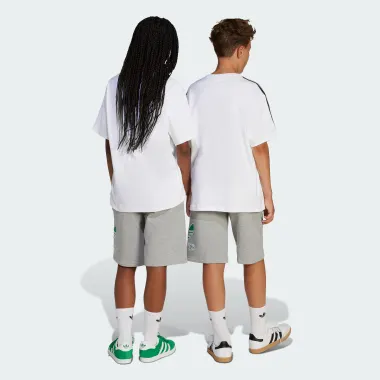 Lifestyle: спортивные шорты Originals 145