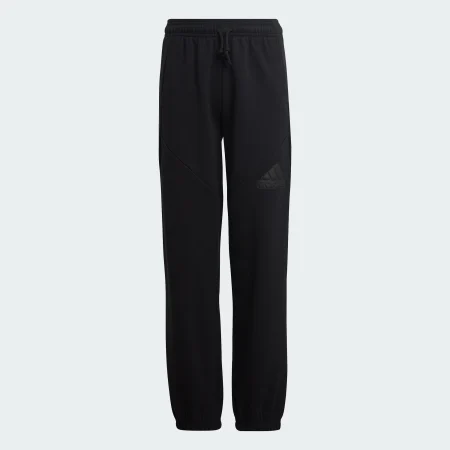 Спортивні штани Future Icons Logo Sportswear HR6286 1