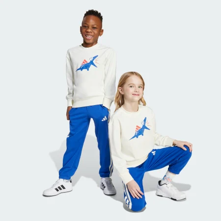 Комплект: світшот і джогери Seasonal Essentials Adiraptor Fleece Little Kids Sportswear JV5848 1