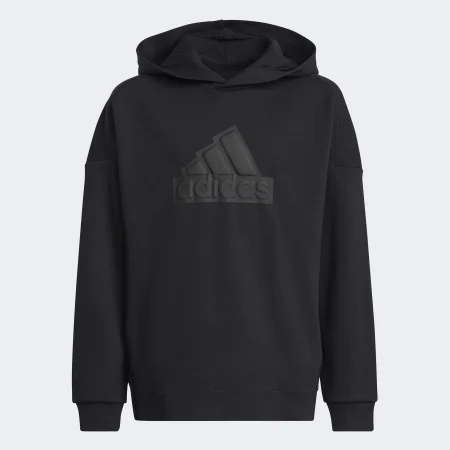 Худі Future Icons Logo Sportswear HR6301 1