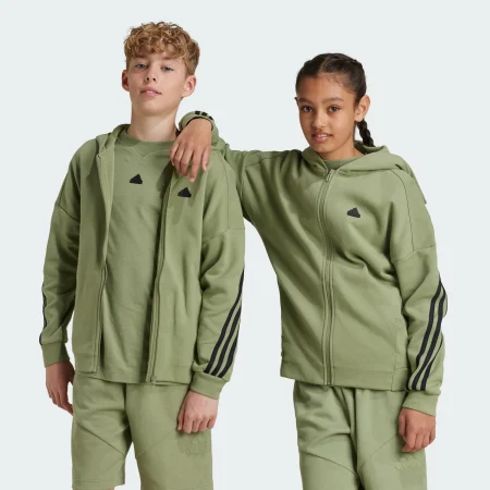 Толстовка Future Icons 3-Stripes Full-Zip Sportswear JH3601 1