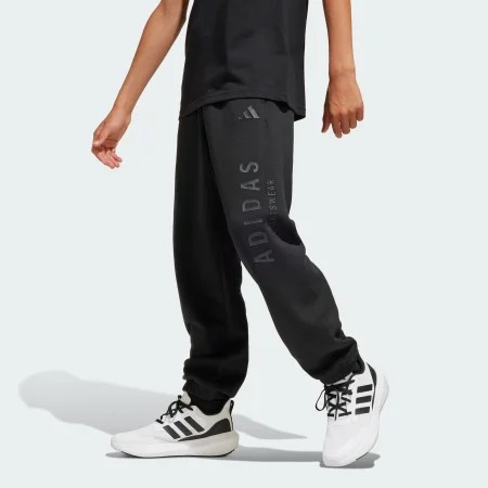 Спортивні штани J All Season GFX Kids Sportswear JC7614 1