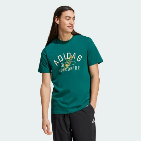 Футболка Collegiate Graphic Sportswear IZ1169 1