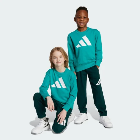 Комплект: світшот і джогери Essentials Kids Sportswear JW2436 1