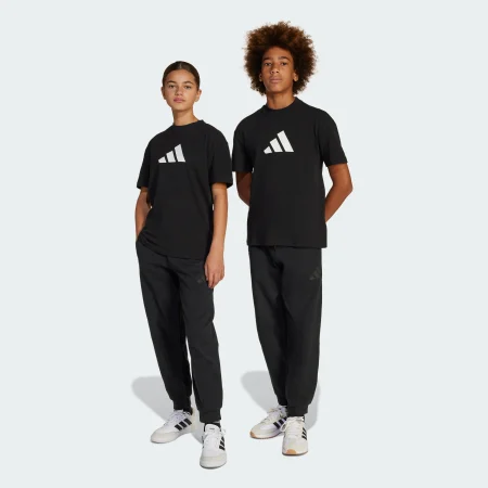Спортивні штани Future Icons Logo Kids Sportswear JC7566 1