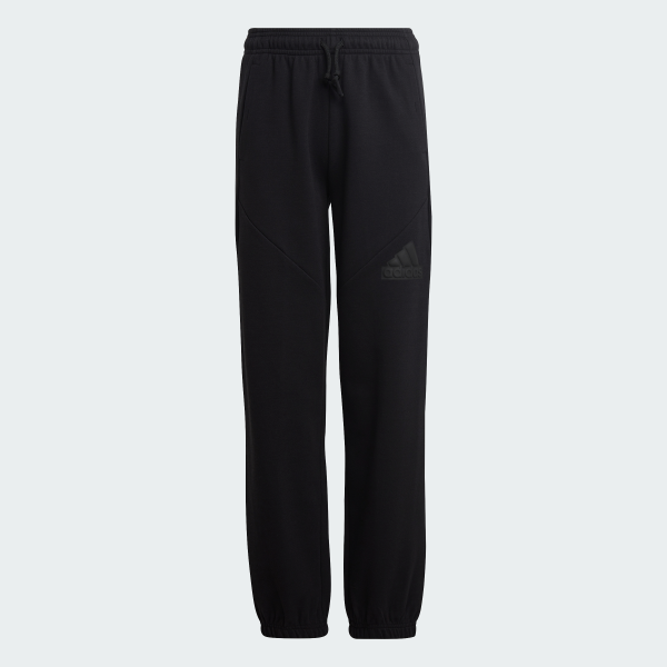 Спортивні штани Future Icons Logo Sportswear HR6286 1