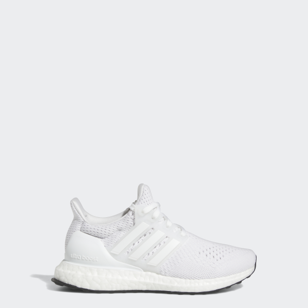 Кросівки Ultraboost 1.0 Performance HQ2163 1