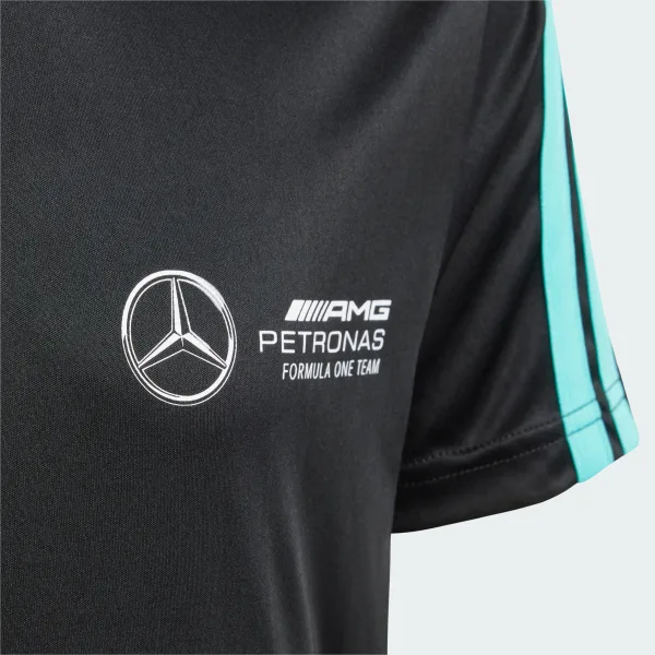 Футболка Mercedes - AMG Petronas Formula One Team DNA Kids