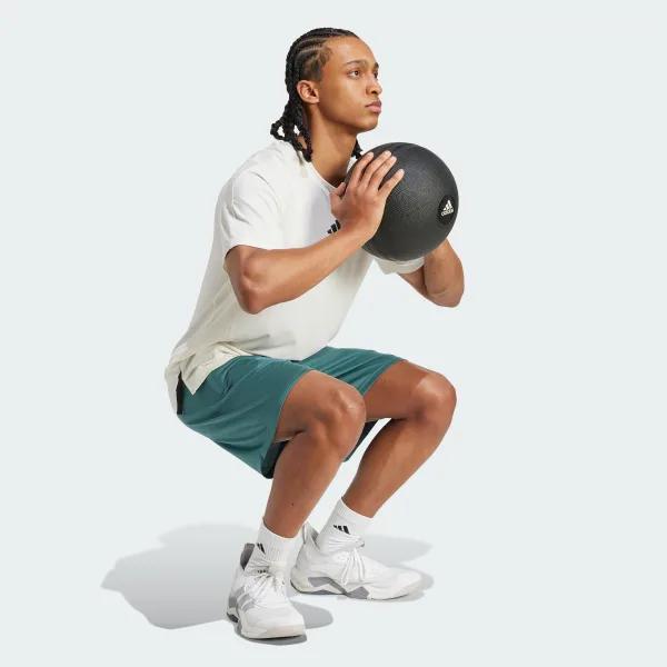 Шорты Essentials Logo