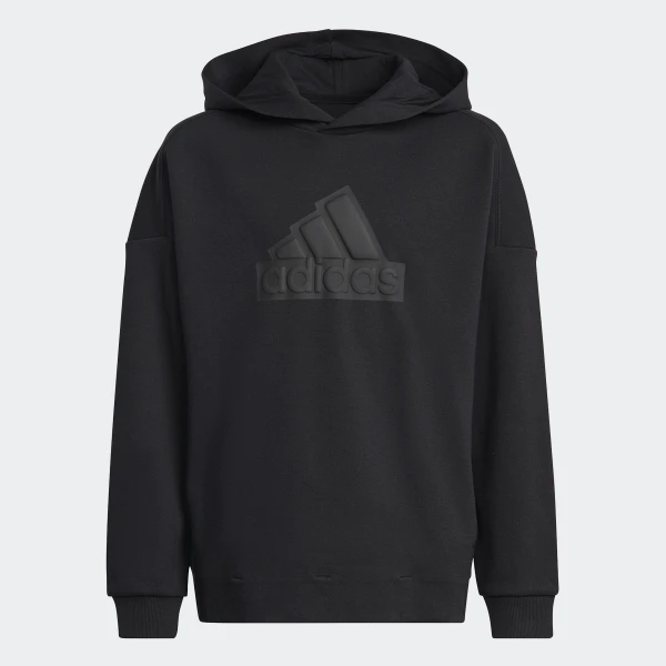 Future Icons Logo худи Sportswear HR6301 1