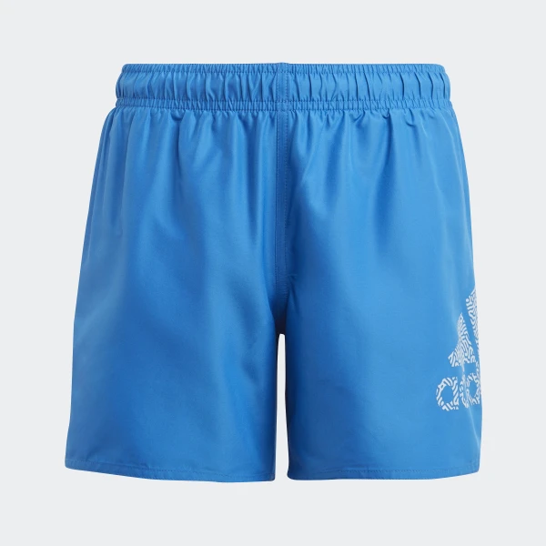 Шорты для плавания Logo CLX Sportswear IA5421 1