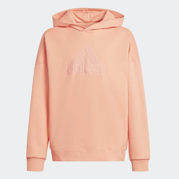 Future Icons Logo худи Sportswear HR6302 1