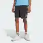 Lifestyle: спортивные шорты Originals 113